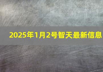 2025年1月2号智天最新信息