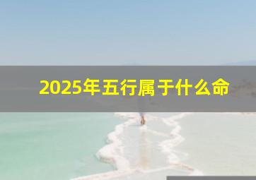 2025年五行属于什么命