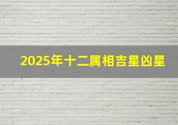 2025年十二属相吉星凶星