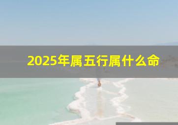 2025年属五行属什么命