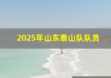 2025年山东泰山队队员