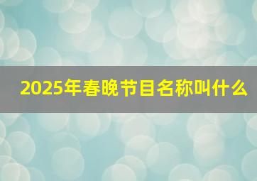 2025年春晚节目名称叫什么