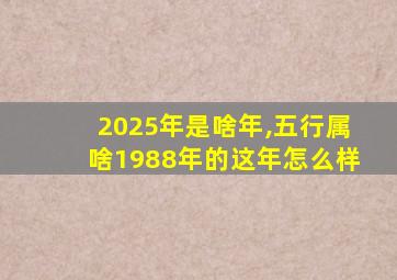 2025年是啥年,五行属啥1988年的这年怎么样