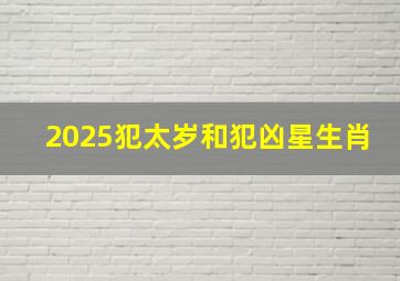 2025犯太岁和犯凶星生肖