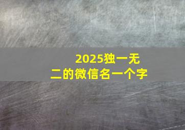 2025独一无二的微信名一个字