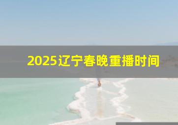 2025辽宁春晚重播时间