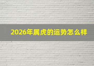 2026年属虎的运势怎么样