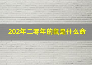 202年二零年的鼠是什么命