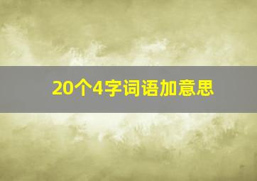 20个4字词语加意思