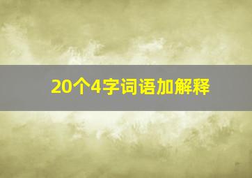 20个4字词语加解释