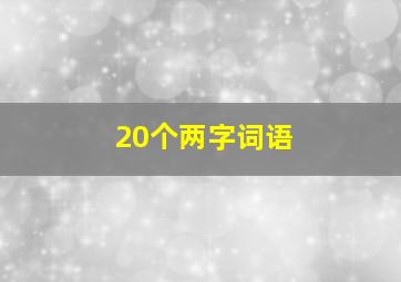 20个两字词语