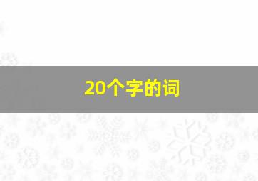 20个字的词