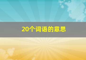 20个词语的意思