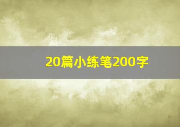 20篇小练笔200字