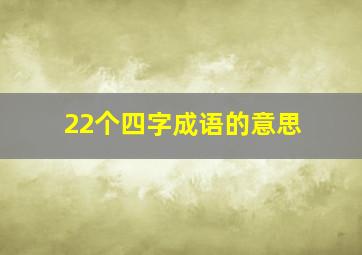 22个四字成语的意思