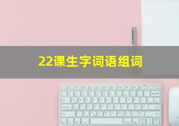 22课生字词语组词