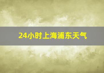 24小时上海浦东天气