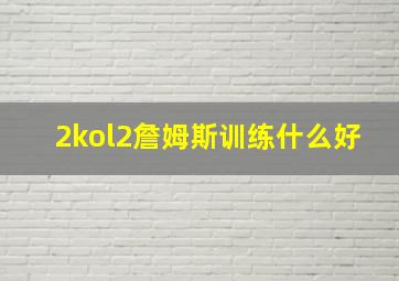 2kol2詹姆斯训练什么好