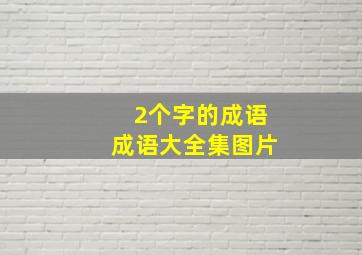 2个字的成语成语大全集图片