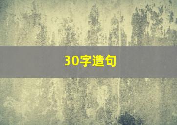 30字造句