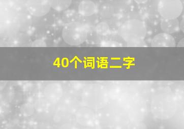 40个词语二字