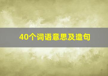 40个词语意思及造句