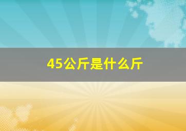 45公斤是什么斤