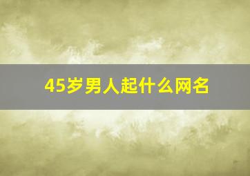 45岁男人起什么网名