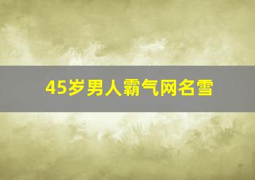 45岁男人霸气网名雪