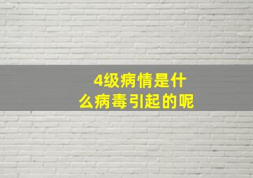 4级病情是什么病毒引起的呢