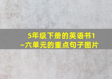 5年级下册的英语书1~六单元的重点句子图片