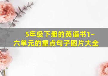 5年级下册的英语书1~六单元的重点句子图片大全