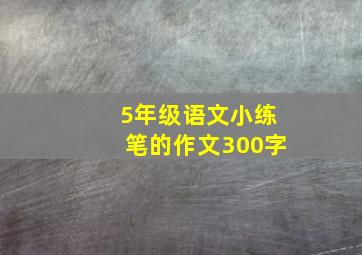 5年级语文小练笔的作文300字