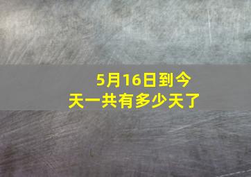 5月16日到今天一共有多少天了