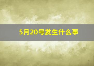 5月20号发生什么事