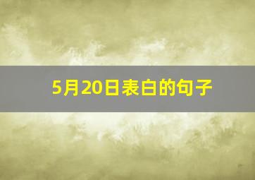 5月20日表白的句子