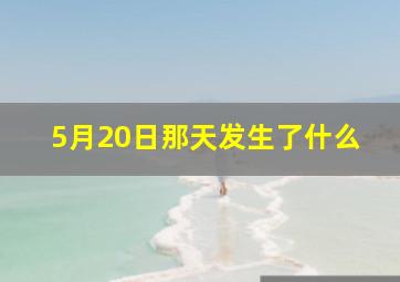 5月20日那天发生了什么