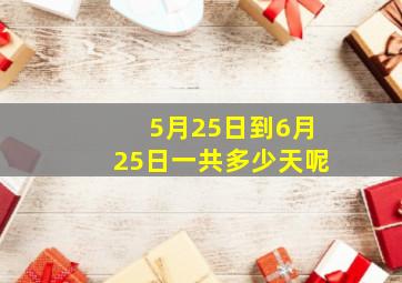 5月25日到6月25日一共多少天呢