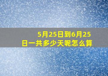 5月25日到6月25日一共多少天呢怎么算