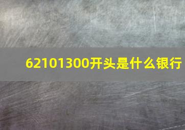 62101300开头是什么银行