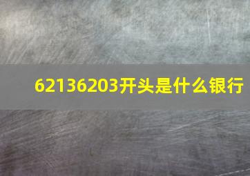 62136203开头是什么银行