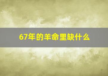 67年的羊命里缺什么