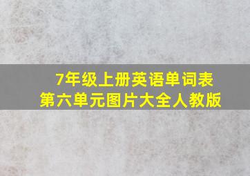 7年级上册英语单词表第六单元图片大全人教版