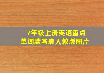 7年级上册英语重点单词默写表人教版图片