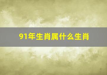 91年生肖属什么生肖