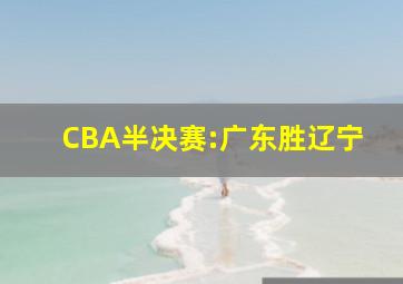 CBA半决赛:广东胜辽宁