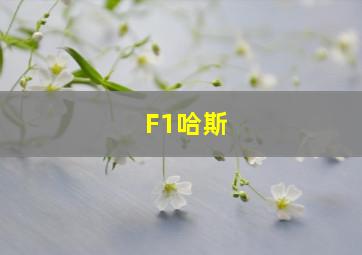 F1哈斯