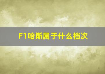 F1哈斯属于什么档次