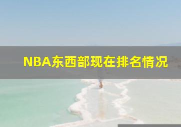 NBA东西部现在排名情况