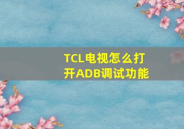 TCL电视怎么打开ADB调试功能